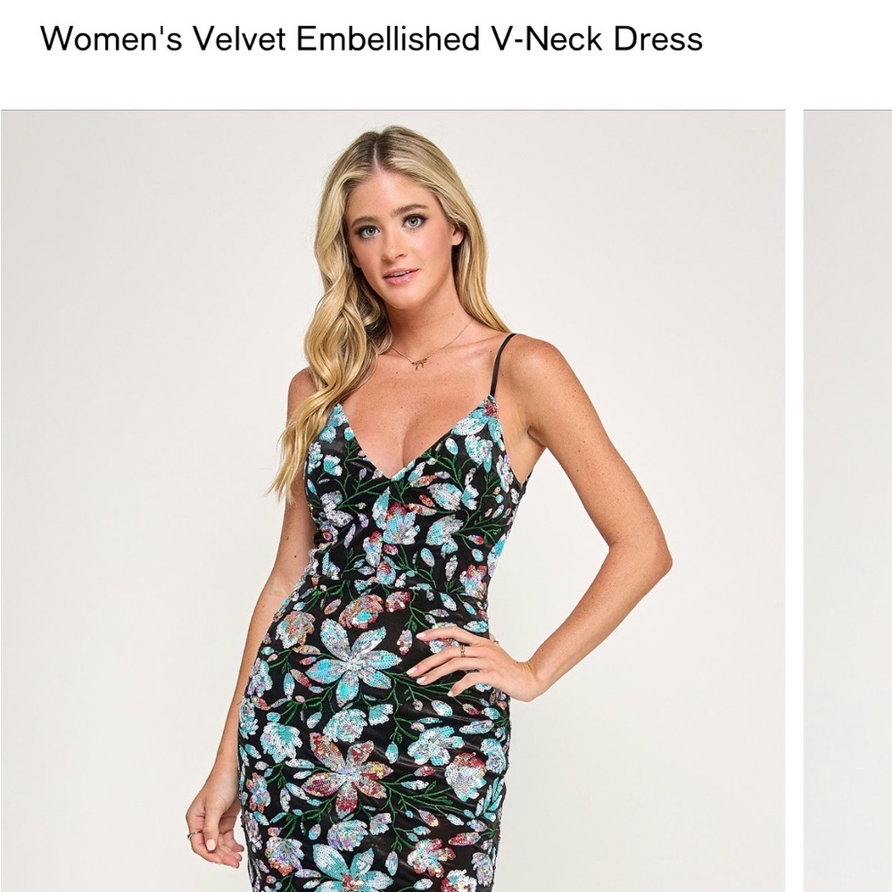 Floral Velvet Embellished V-Neck Dress